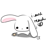 Bunni*
