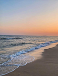 - ceecees seaside -