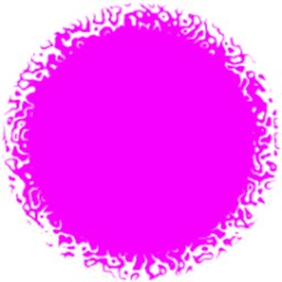 Conquest Map