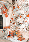 - Lush's Boutique! -