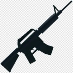 Combatant Fighting
