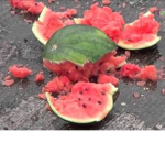 W A T E R M E L O N