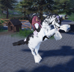 Lovelyhorses