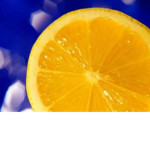 Lemon Squad Fans and Members