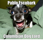 I’mAdopted :D