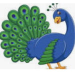 Team Peacockk
