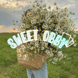 SWEET OBBY