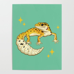 ~Aesthetic geckos~