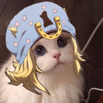 DSOKA