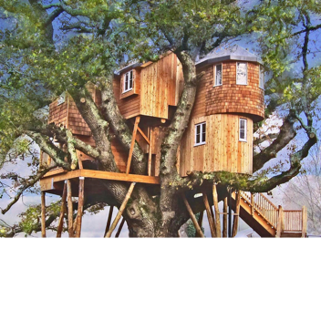 Admin Poptart Rainbow Cat Chat Voice Treehouse Han