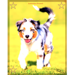 I LUV DOGS WAY TO MUCH