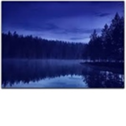 The grand lake showcase