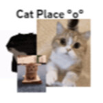 Cat Place
