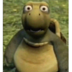 Ayo bois-