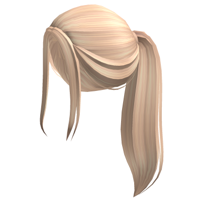 Aesthetic blonde ponytail
