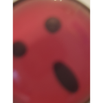 RiceMachine is cool