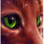 DawnDuskClan