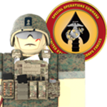 〔USMC〕Forces Special Operations Command