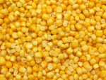 SweetcornIsTasty