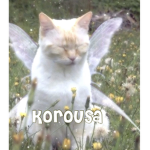 kurousa