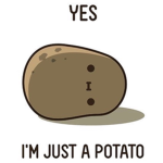 The kiwi potatoes