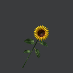 ~SunnyFlowers~