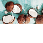 Coconut playz