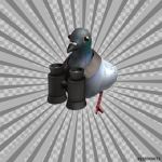 #PIGEONSQUAD