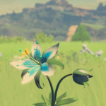 Silent Princess
