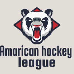 Amarican hockey league Game Rink