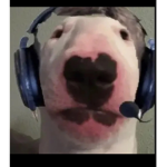 Hi guys I hope you are doing well stay safe!