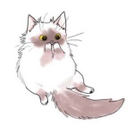 Loving Cats