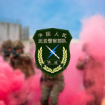 〔PAPSOF〕武警特战