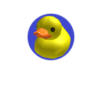 Ducks Are King
