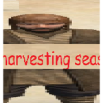 PSM