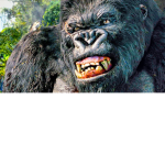 kingkong123_yt