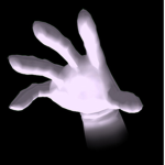 [DR] The Hand Order