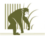 Save the Chimps