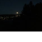 Venom versus carnage