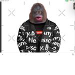 Epic Cool MONKE group