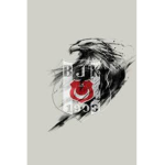 BeşitaşJK1903