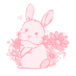Beautyyy bunnies