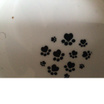 The puppy paw