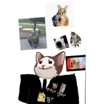 Popcat official we play and live