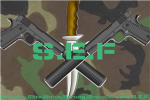 S.E.F.