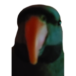 cr1ms0n.