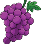 Grape Juice Studio