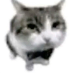 AYO_WASSUP