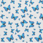 ~Beautiful Butterflys!~