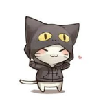 team NEKO!!!!!